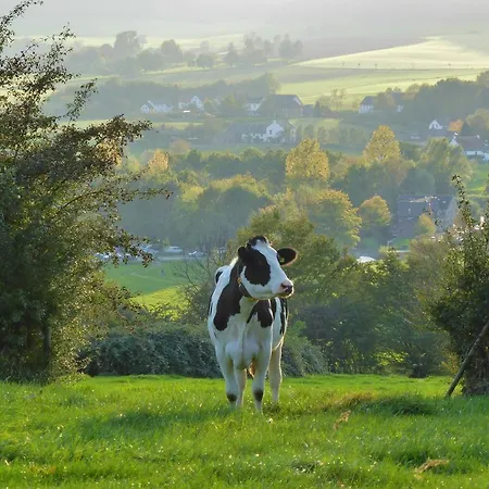 Witte Lelie Appart hôtel Malines