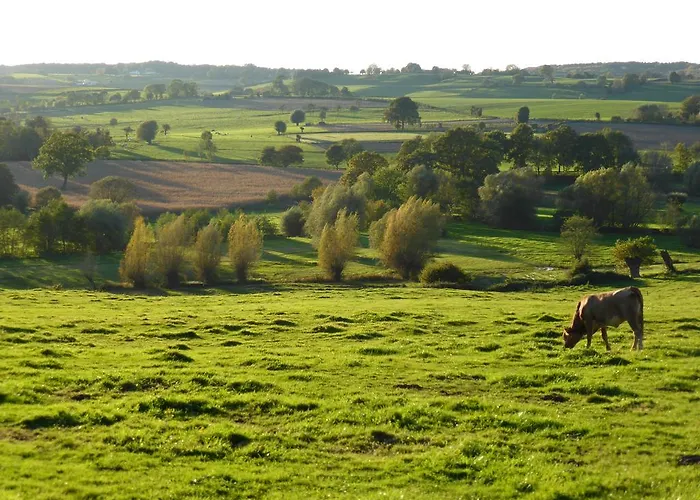 Apartahotel Witte Lelie Malinas
