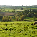 Apart Otel Witte Lelie Mechelen