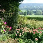 Apart Otel Witte Lelie Mechelen