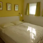 Witte Lelie Mechelen