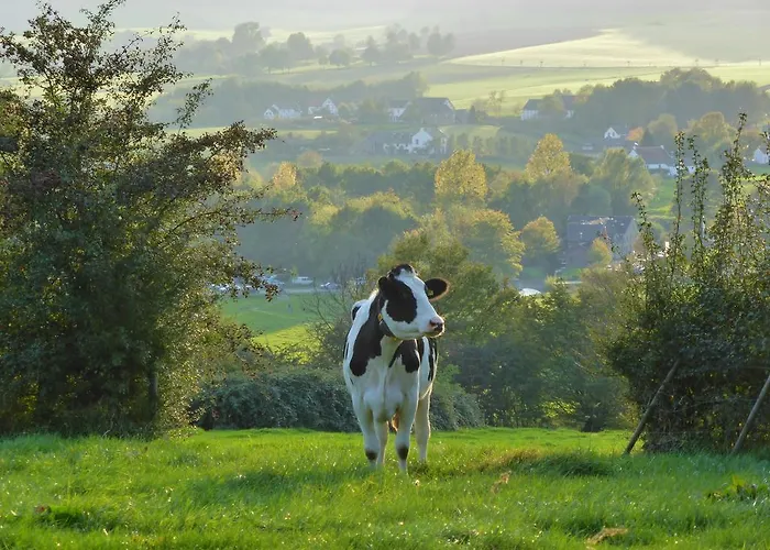 Witte Lelie アパートホテル メッヘレン
